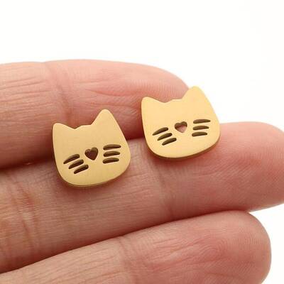 Stainless Steel Studs Earring