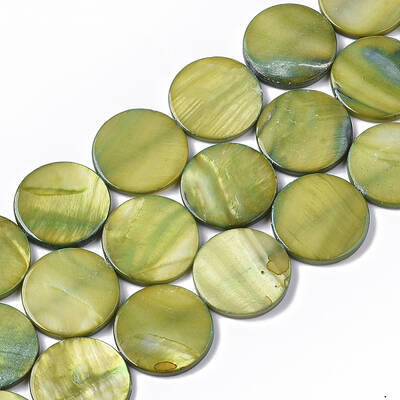 Freshwater Shell Beads Strands