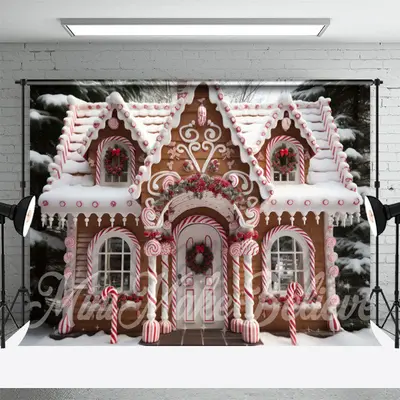 Snow Candy House Christmas Backdrop For Photography - Aperturee