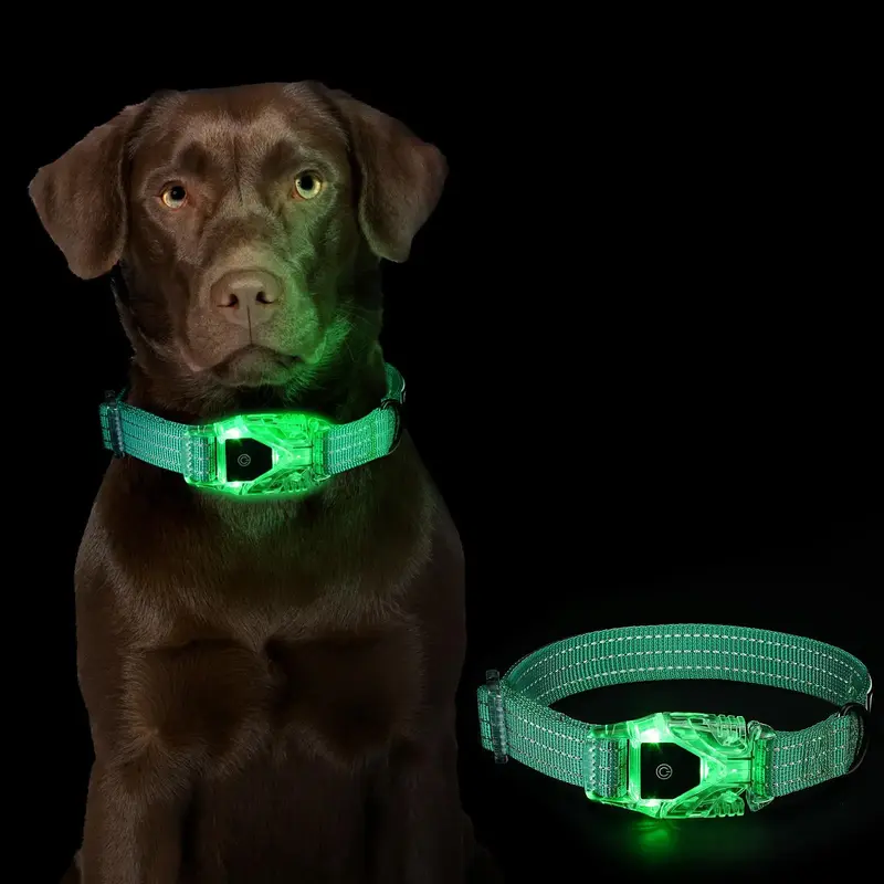 Spring 3 in 1 LED Dog Collar, 1 Count Waterproof Dog Neck Accessories with Quick Release Tool, Great for Night Walking & Nigh...