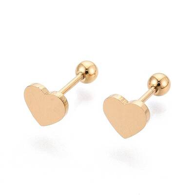 304 Stainless Steel Stud Earrings for Women