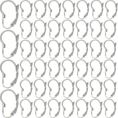 304 Stainless Steel Leverback Earring Findings