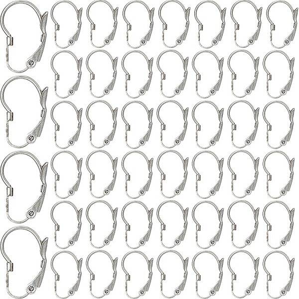 304 Stainless Steel Leverback Earring Findings