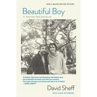 Beautiful Boy (tie-In): A Father's Journey Through His Son's Addiction by David Sheff [Paperback Book]