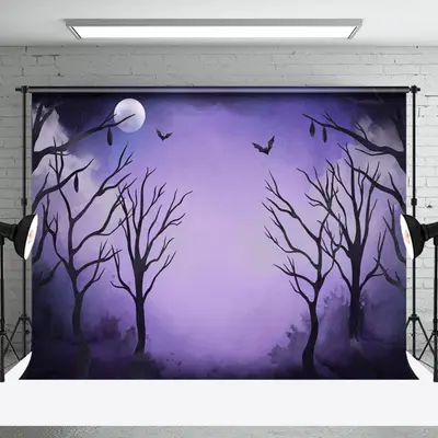 Scary Moon Night Trunk Halloween Cake Smash Backdrop