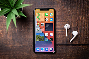 Basics of iOS App Development