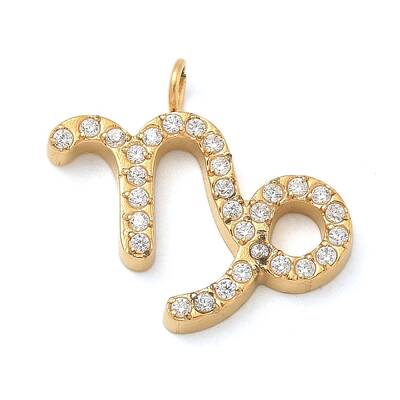 Ion Plating(IP) 304 Stainless Steel Micro Pave Cubic Zirconia Charms