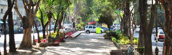 Mexico City Streets: La Roma