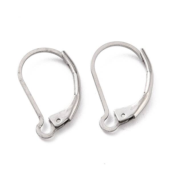 Non-Tarnish 304 Stainless Steel Leverback Earring Findings