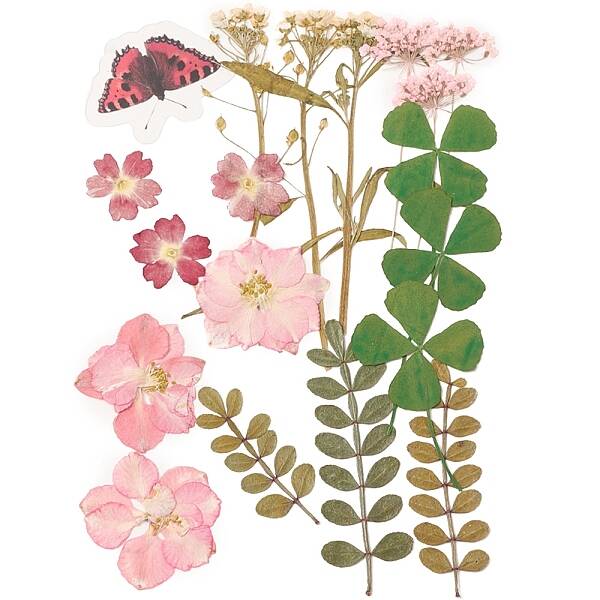 Pressed Dried Flowers