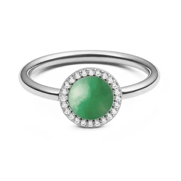 Daniel wellington Steel ring with jadeite and crystals Audrey DW0040135 - Circuit: 48 mm