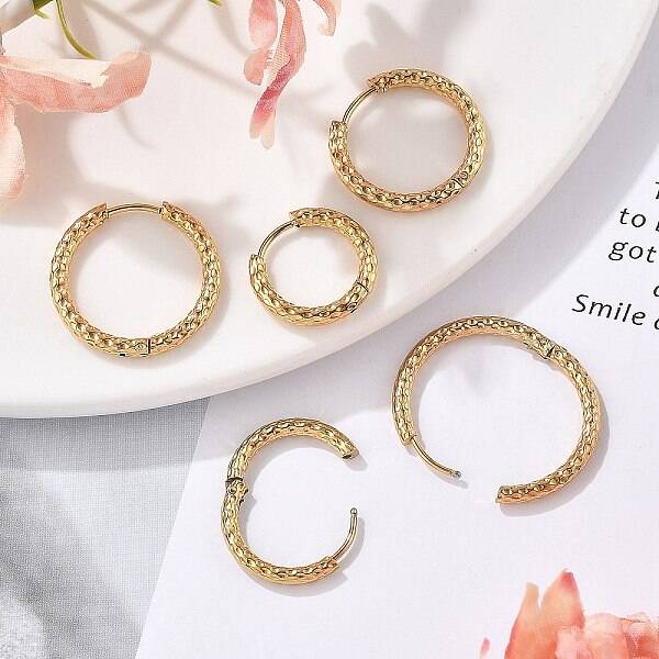 304 Stainless Steel Hoop Earrings