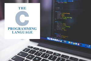 C Programming - Numbers  Variables and Arrays
