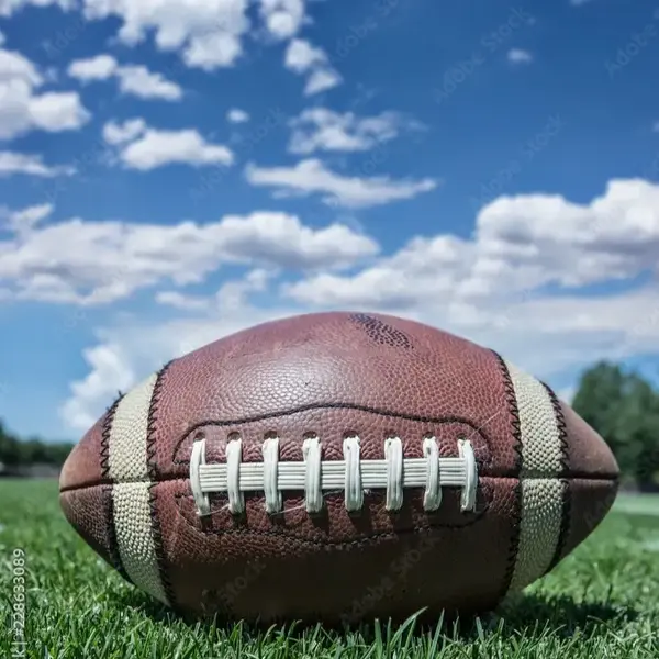 PYD Sports break/cards