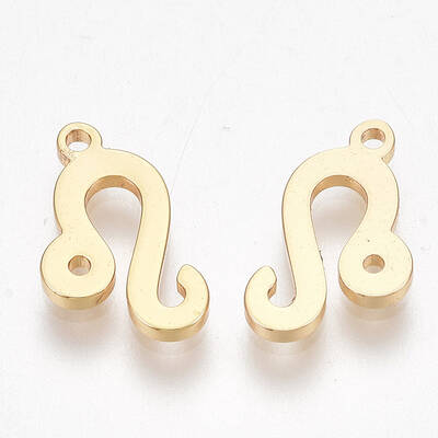 Ion Plating(IP) 304 Stainless Steel Charms