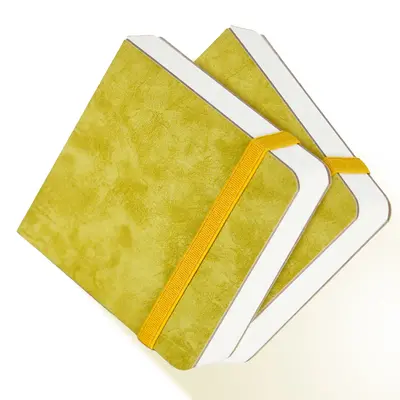 Funto Watercolor Journal 2-Pack, Cold-Pressed 100% Cotton, Pearlescent PU Leather Brown Hard Cover, Removable Elastic Band, A...