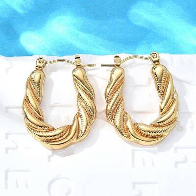 304 Stainless Steel Hoop Earrings for Women