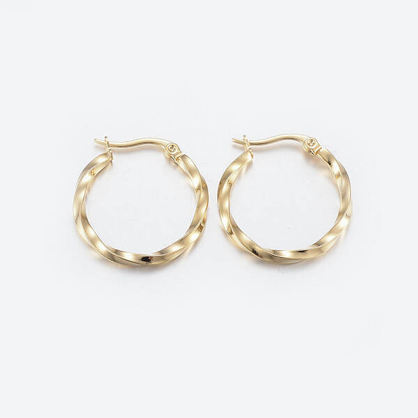 304 Stainless Steel Hoop Earrings