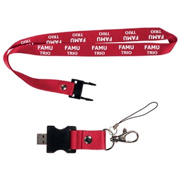 100 Promotional Berkeley Custom Printed Lanyard & USB Flash Drive ...