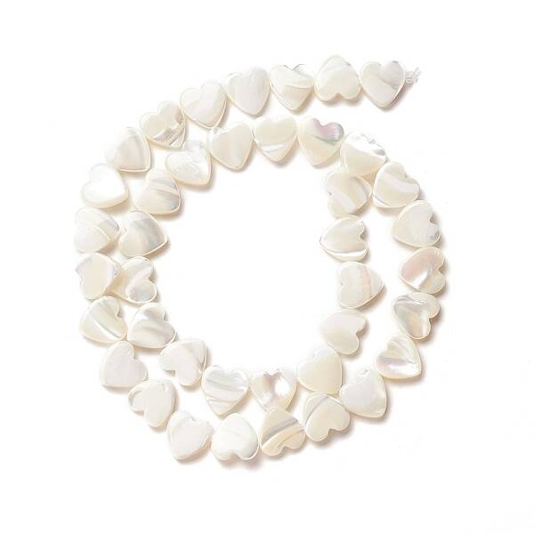 Natural Trochid Shell/Trochus Shell Beads