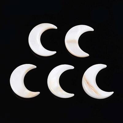 Natural Freshwater Shell Cabochons