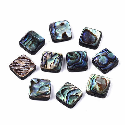 Natural Abalone Shell/Paua Shell Beads