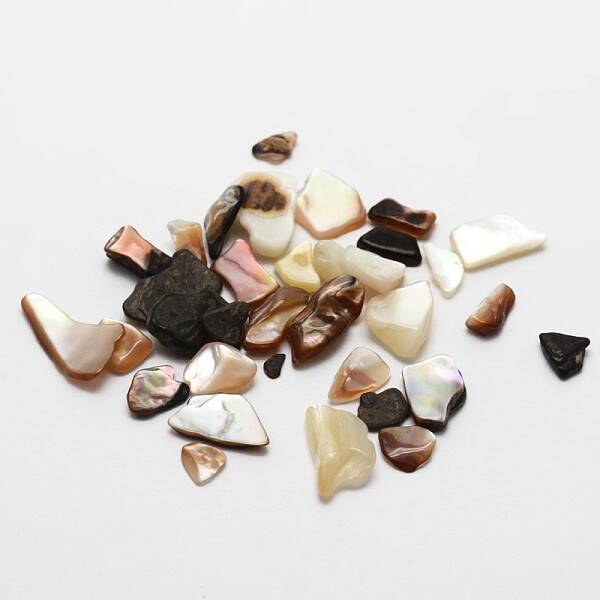 No Hole Natural Sea Shell Beads
