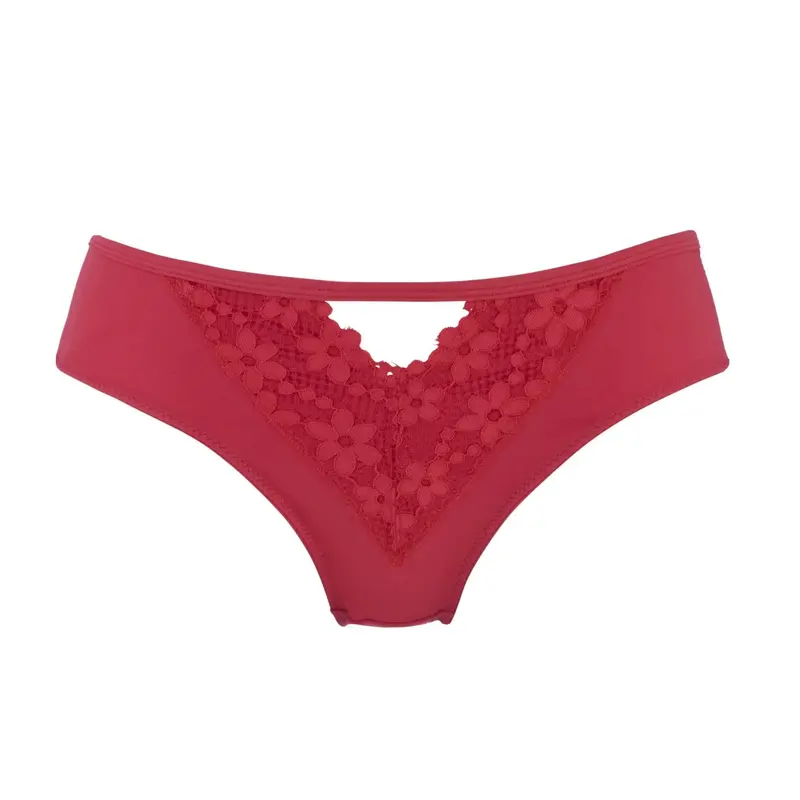 Passion Red - Silk & Organic Cotton Brief | Size: 18
