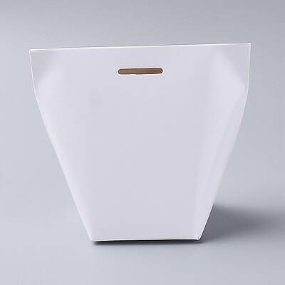 Paper Bags