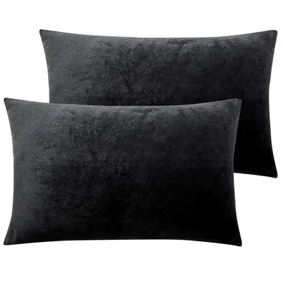 NTBAY 2 Pieces Solid Color Ultra Soft Velvet Zippered Pillowcase, Cozy Luxury Fuzzy Flannel Pillow Cases with Zipper, Decorat...