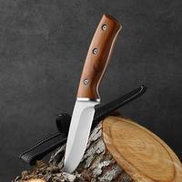 Camping Knife,Kitchen Fruit Knife, Free Sheath,Stainless Steel Utility Knife for Meat and Vegetable Prep, Stainless Steel Fru...