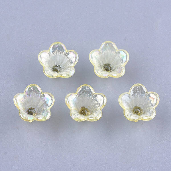Transparent Acrylic Bead Caps