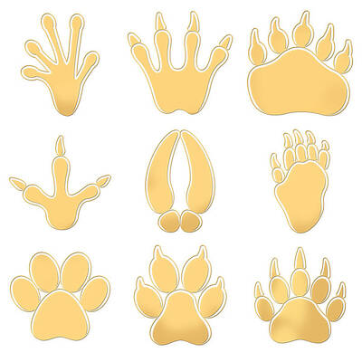 Nickel Decoration Stickers