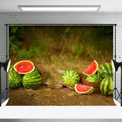 Aperturee Cut Watermelon Wild Field Summer Scenery Backdrop