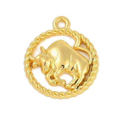 Twelve Constellations Alloy Pendants