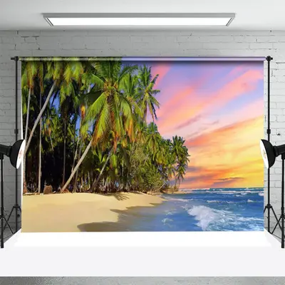 Tropical Coconut Trees Beach Sunset Summer Backdrop - Aperturee