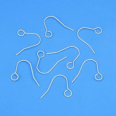 304 Stainless Steel Earring Hooks