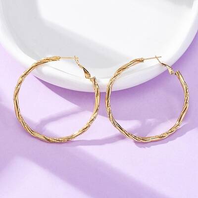 304 Stainless Steel Hoop Earrings