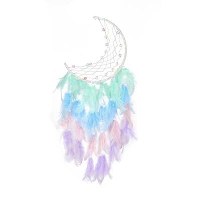 Iron Woven Web/Net with Feather Pendant Decorations