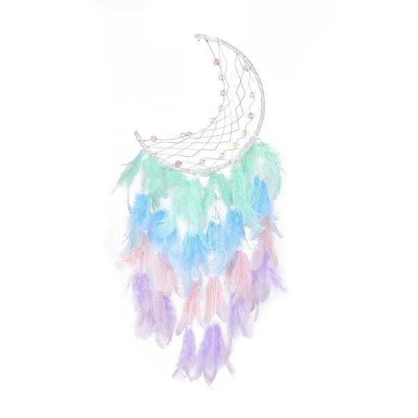 Iron Woven Web/Net with Feather Pendant Decorations