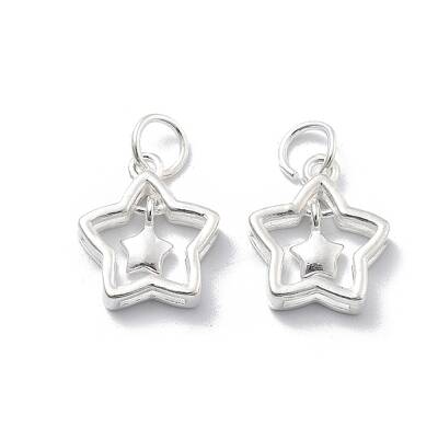925 Sterling Silver Charms