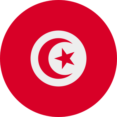 TN 20GB for 30 days +107 countries