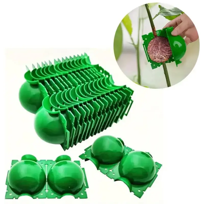 Plant Root Growing Box, 20pcs Plant Root Growing Ball, Grafting Cuttings Root Device, Suitable for Plant Root, Root Ball, Gar...