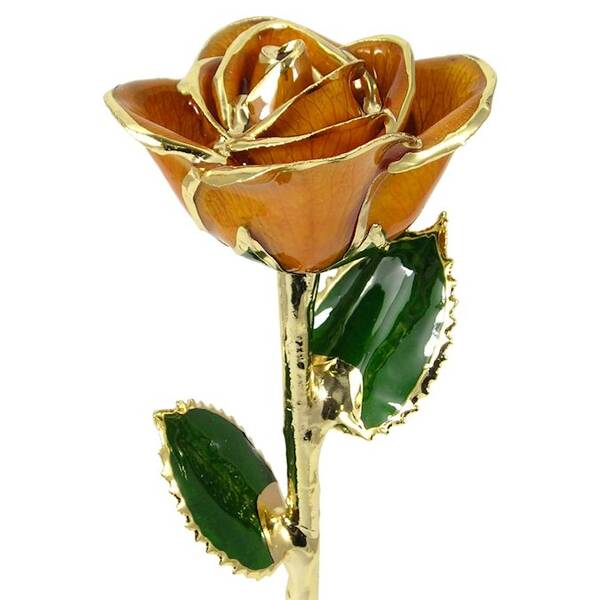 24k Gold Trimmed Rose: 11 Peach Rose
