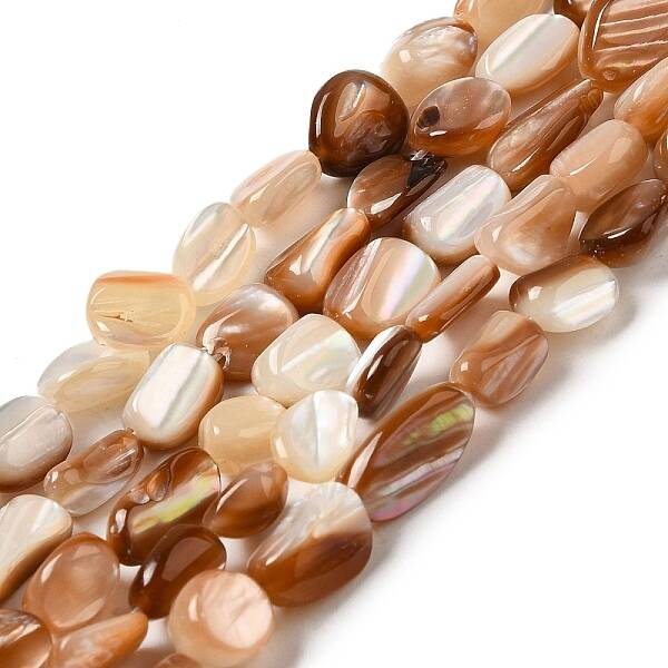 Natural Sea Shell Beads Strands