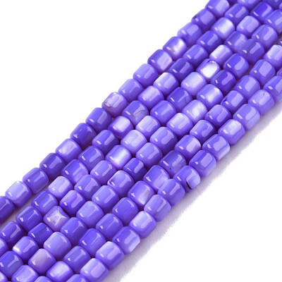 Natural Freshwater Shell Beads Strands