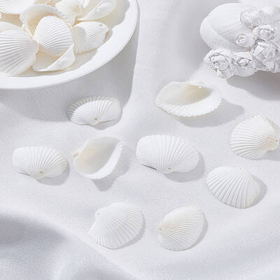 100g Natural Shell Pendants
