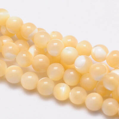 Natural Sea Shell Round Bead Strands