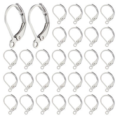 200Pcs 304 Stainless Steel Leverback Earring Findings
