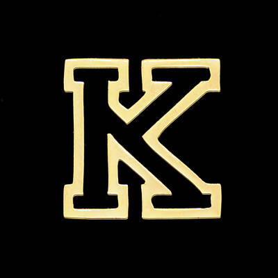 PVD Vacuum Plating 201 Stainless Steel Charms